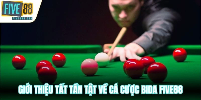 Giới thiệu tất tần tật về cá cược Bida Five88