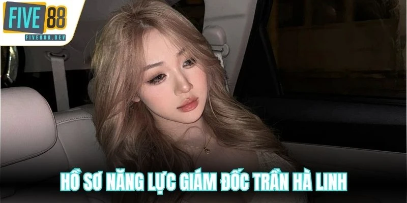 Hồ sơ năng lực giám đốc Trần Hà Linh