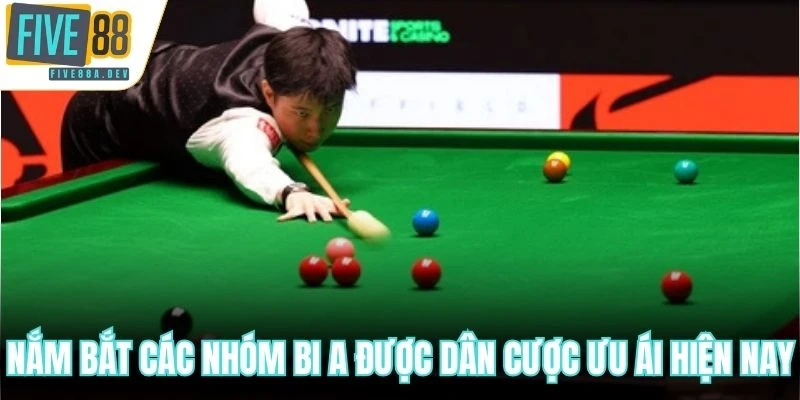 Nắm bắt các nhóm bi a được dân cược ưu ái hiện nay