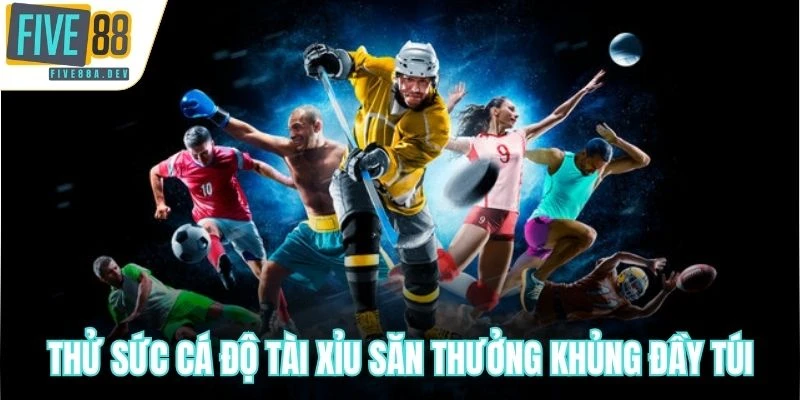Thử sức cá độ tài xỉu săn thưởng khủng đầy túi