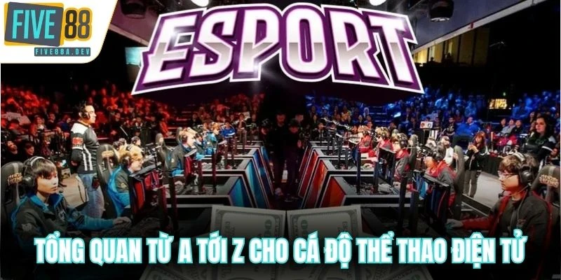 Tổng quan từ a tới z cho cá độ thể thao điện tử